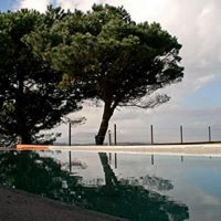 Готель Shepinetree - Pinheira Vale de Lobos Екстер'єр фото